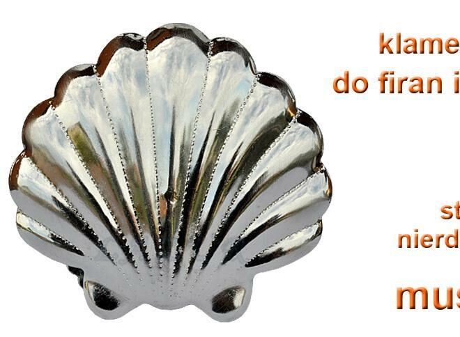 Alternative view of KLAMERKA OZDOBNA STAL NIERDZEWNA MUSZLA 1 SZTUKA       - KLAMERKA MUSZLA STAL NIERDZEWNA
